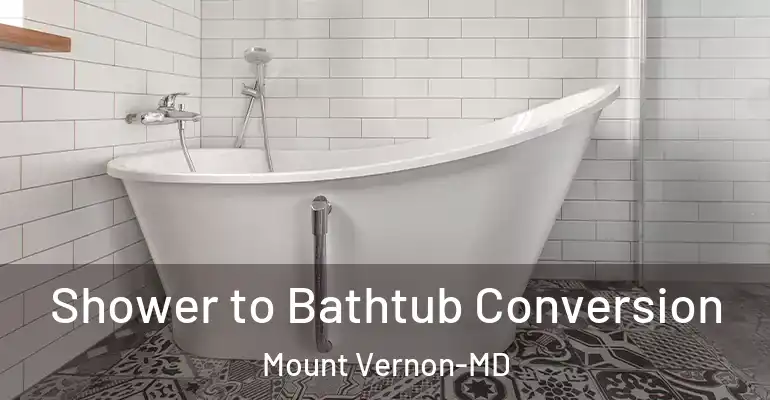 inner Bathroom imggen Shower to Bathtub Conversion Mount Vernon-MD
