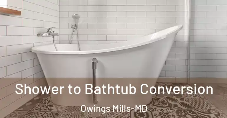 inner Bathroom imggen Shower to Bathtub Conversion Owings Mills-MD