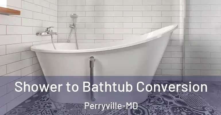 inner Bathroom imggen Shower to Bathtub Conversion Perryville-MD