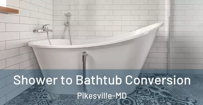 inner Bathroom imggen Shower to Bathtub Conversion Pikesville-MD