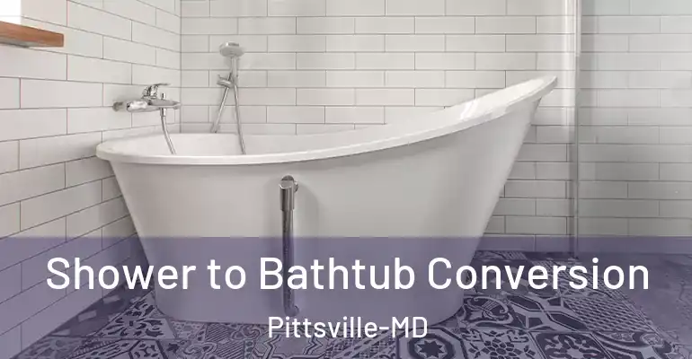 inner Bathroom imggen Shower to Bathtub Conversion Pittsville-MD