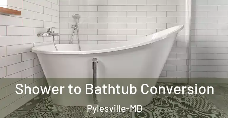inner Bathroom imggen Shower to Bathtub Conversion Pylesville-MD