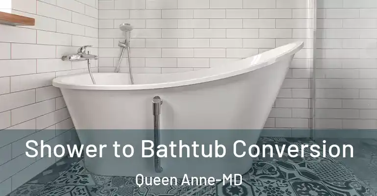 inner Bathroom imggen Shower to Bathtub Conversion Queen Anne-MD