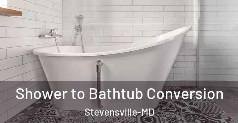 inner Bathroom imggen Shower to Bathtub Conversion Stevensville-MD