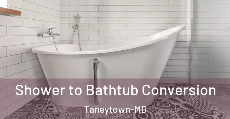 inner Bathroom imggen Shower to Bathtub Conversion Taneytown-MD