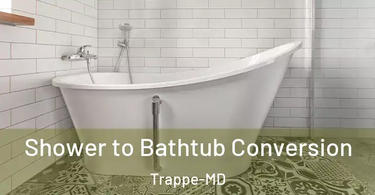 inner Bathroom imggen Shower to Bathtub Conversion Trappe-MD