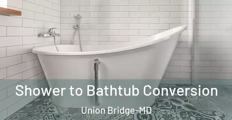 inner Bathroom imggen Shower to Bathtub Conversion Union Bridge-MD