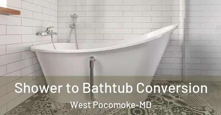 inner Bathroom imggen Shower to Bathtub Conversion West Pocomoke-MD