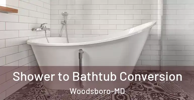inner Bathroom imggen Shower to Bathtub Conversion Woodsboro-MD