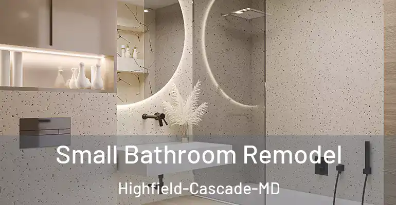 inner Bathroom imggen Small Bathroom Remodel Highfield-Cascade-MD