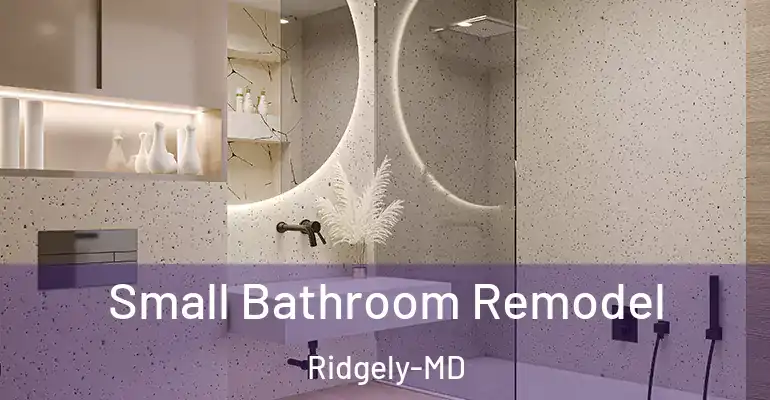 inner Bathroom imggen Small Bathroom Remodel Ridgely-MD