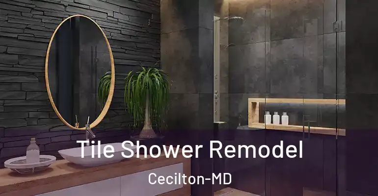 inner Bathroom imggen Tile Shower Remodel Cecilton-MD