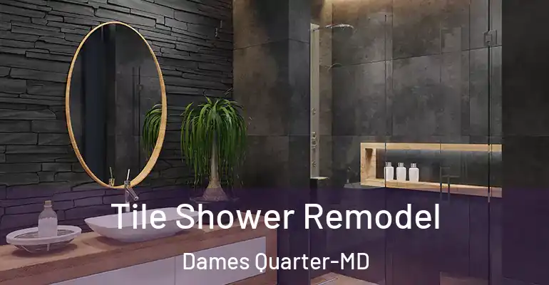 inner Bathroom imggen Tile Shower Remodel Dames Quarter-MD