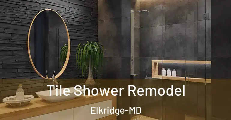 inner Bathroom imggen Tile Shower Remodel Elkridge-MD