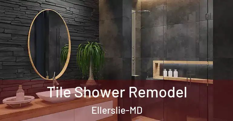 inner Bathroom imggen Tile Shower Remodel Ellerslie-MD