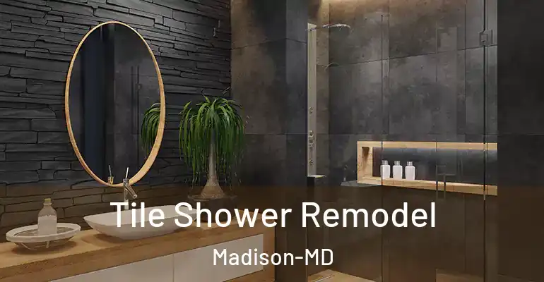 inner Bathroom imggen Tile Shower Remodel Madison-MD