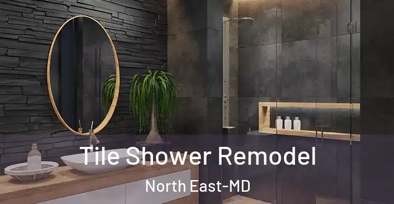 inner Bathroom imggen Tile Shower Remodel North East-MD
