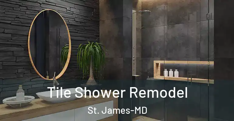 inner Bathroom imggen Tile Shower Remodel St. James-MD