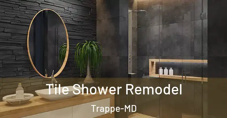 inner Bathroom imggen Tile Shower Remodel Trappe-MD