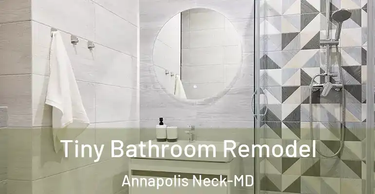 inner Bathroom imggen Tiny Bathroom Remodel Annapolis Neck-MD