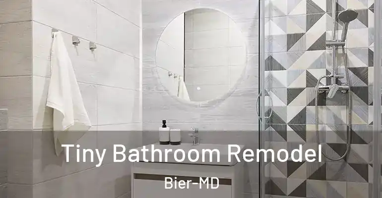 inner Bathroom imggen Tiny Bathroom Remodel Bier-MD
