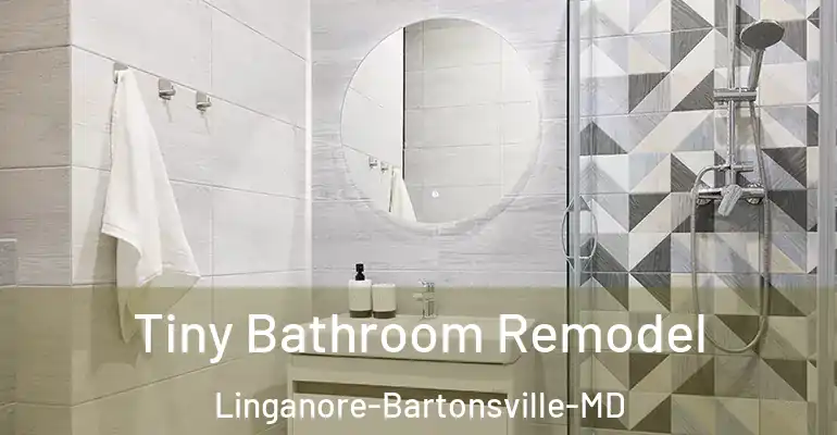 inner Bathroom imggen Tiny Bathroom Remodel Linganore-Bartonsville-MD