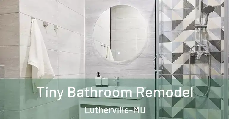 inner Bathroom imggen Tiny Bathroom Remodel Lutherville-MD