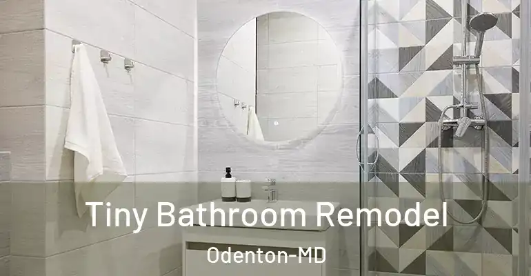 inner Bathroom imggen Tiny Bathroom Remodel Odenton-MD
