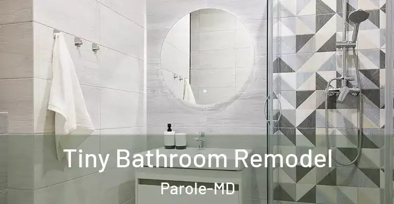 inner Bathroom imggen Tiny Bathroom Remodel Parole-MD