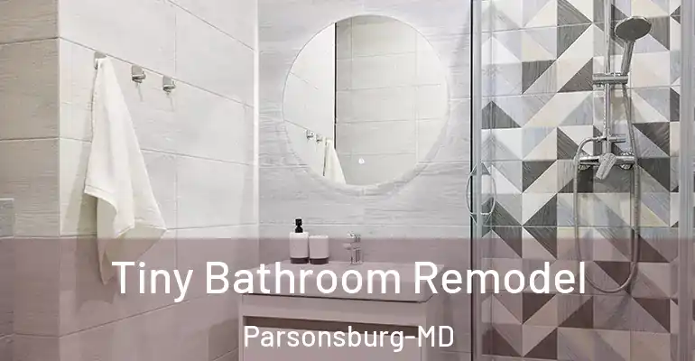inner Bathroom imggen Tiny Bathroom Remodel Parsonsburg-MD