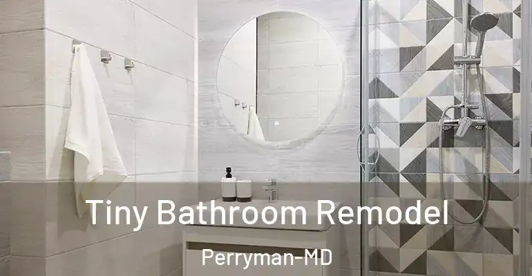 inner Bathroom imggen Tiny Bathroom Remodel Perryman-MD