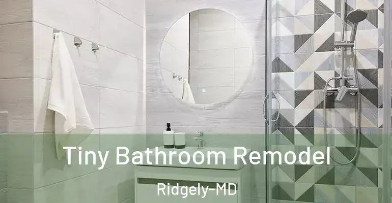inner Bathroom imggen Tiny Bathroom Remodel Ridgely-MD