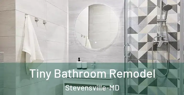 inner Bathroom imggen Tiny Bathroom Remodel Stevensville-MD