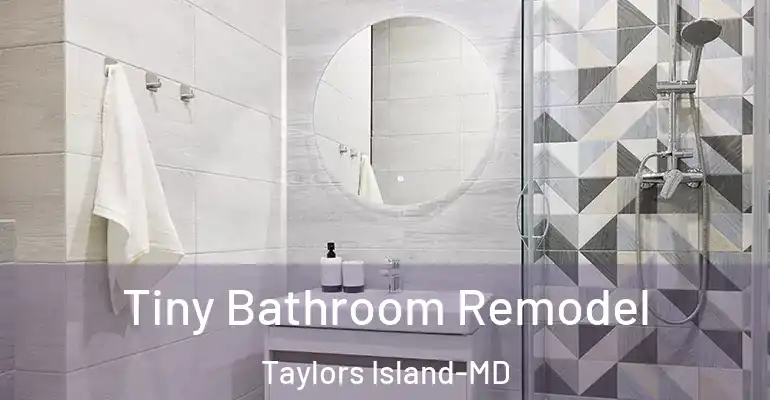 inner Bathroom imggen Tiny Bathroom Remodel Taylors Island-MD