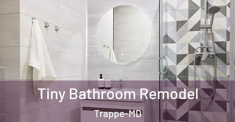 inner Bathroom imggen Tiny Bathroom Remodel Trappe-MD