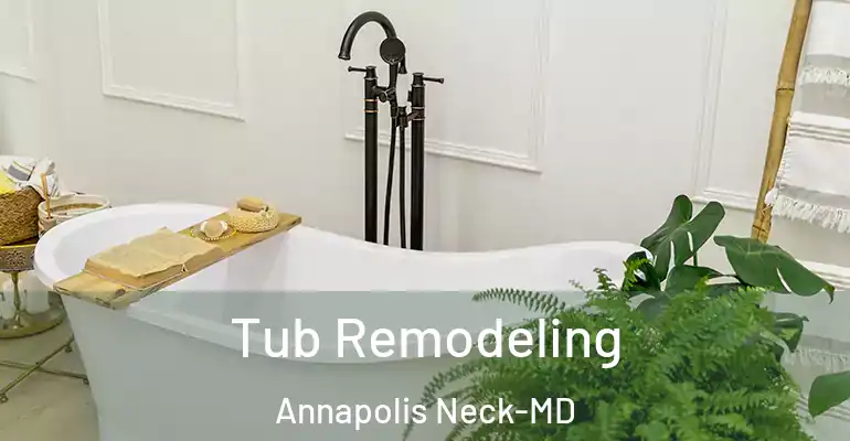 inner Bathroom imggen Tub Remodeling Annapolis Neck-MD