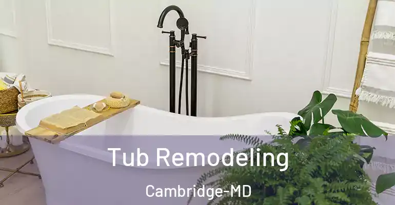 inner Bathroom imggen Tub Remodeling Cambridge-MD