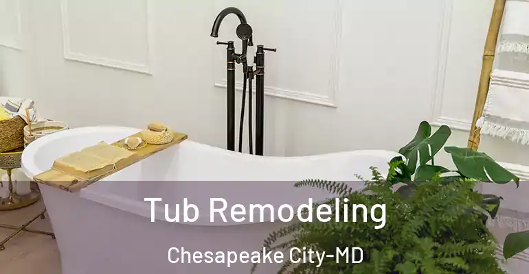 inner Bathroom imggen Tub Remodeling Chesapeake City-MD