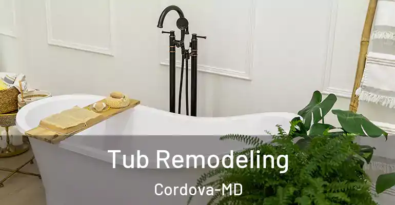 inner Bathroom imggen Tub Remodeling Cordova-MD