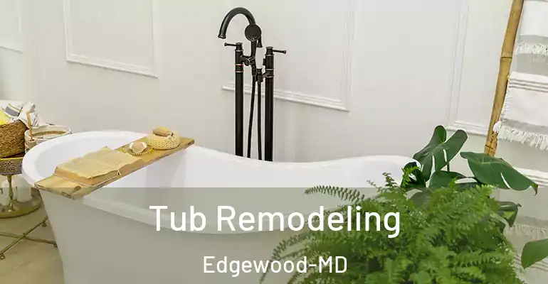 inner Bathroom imggen Tub Remodeling Edgewood-MD