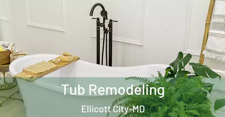 inner Bathroom imggen Tub Remodeling Ellicott City-MD