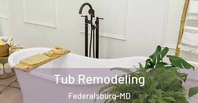 inner Bathroom imggen Tub Remodeling Federalsburg-MD