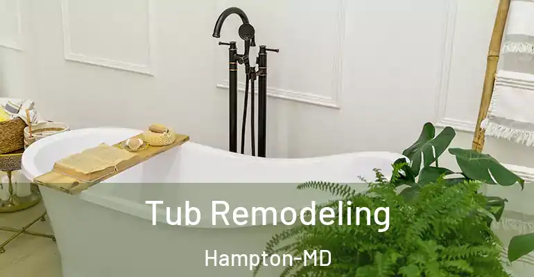 inner Bathroom imggen Tub Remodeling Hampton-MD
