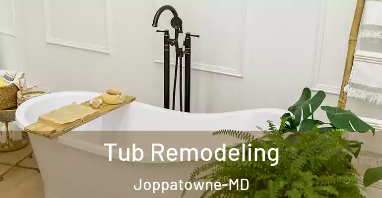 inner Bathroom imggen Tub Remodeling Joppatowne-MD