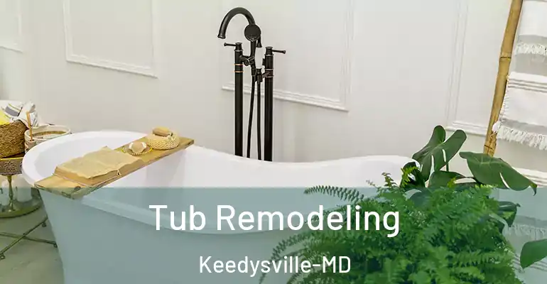 inner Bathroom imggen Tub Remodeling Keedysville-MD