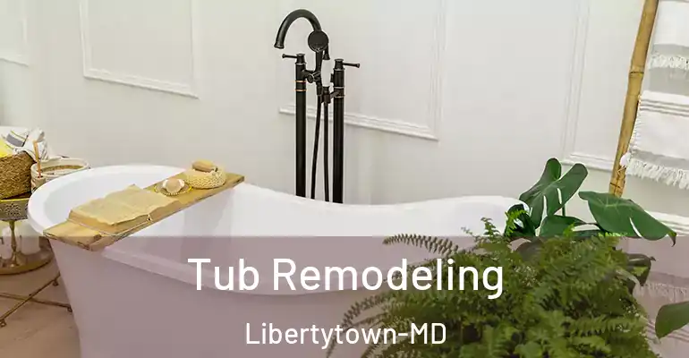inner Bathroom imggen Tub Remodeling Libertytown-MD