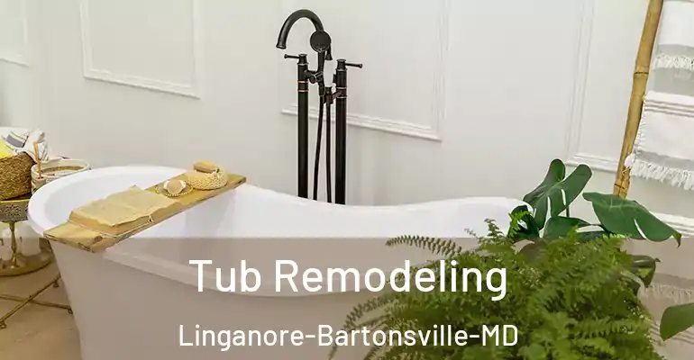 inner Bathroom imggen Tub Remodeling Linganore-Bartonsville-MD