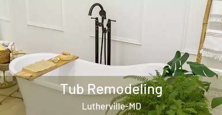 inner Bathroom imggen Tub Remodeling Lutherville-MD