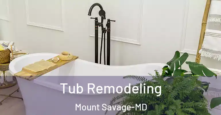 inner Bathroom imggen Tub Remodeling Mount Savage-MD