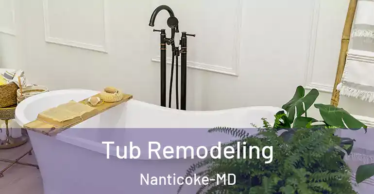 inner Bathroom imggen Tub Remodeling Nanticoke-MD